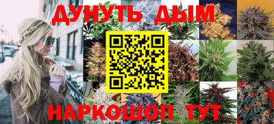 индика Краснознаменск